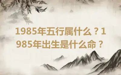 1985年五行|85年的五行命格 1985年出生是什么命